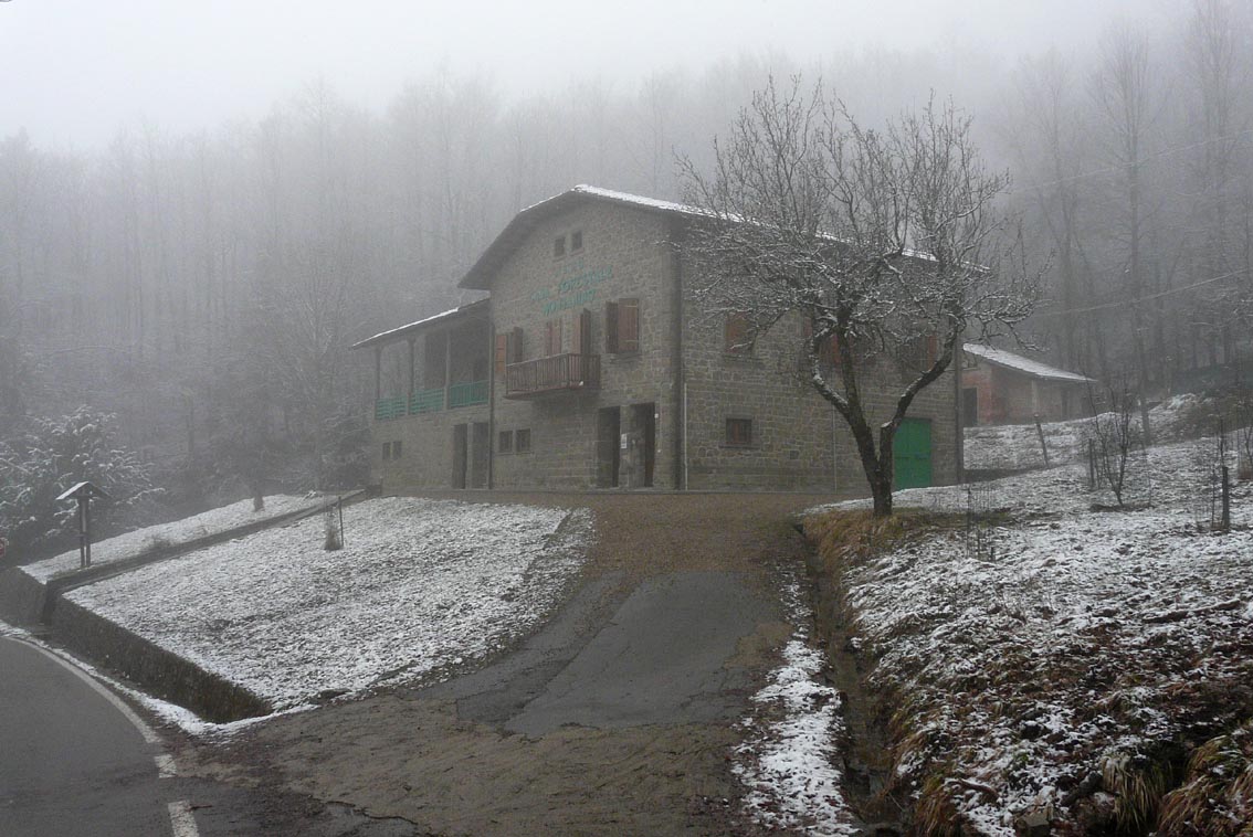 Volontanfibi 2013: grossi sassi piatti!
